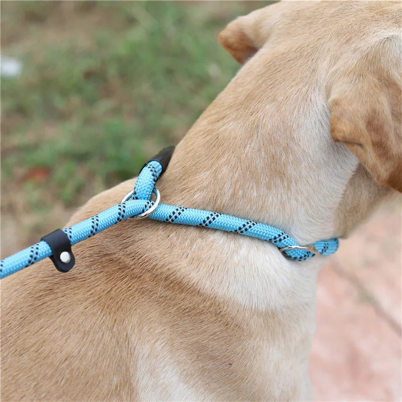 What is the best collar for a dog that pulls