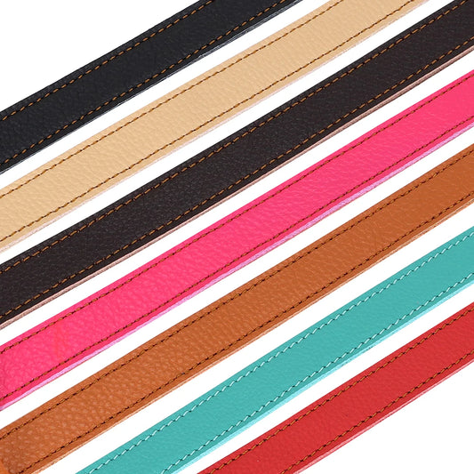 Dog collar color meaning