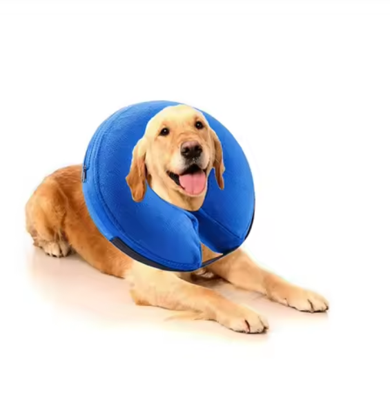 How to Properly Use and Fit an Inflatable Dog Collar