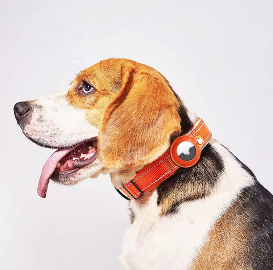 What is the best GPS dog collar