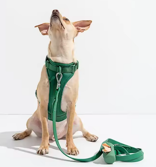 How to stop dog pulling on harness?