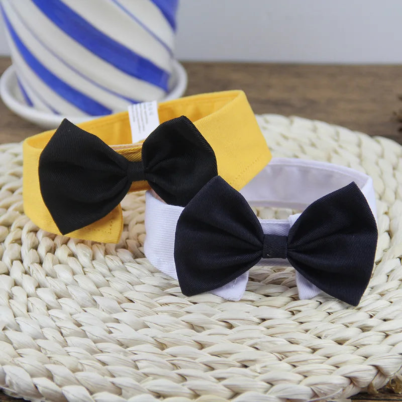 Dog bow tie collar for wedding