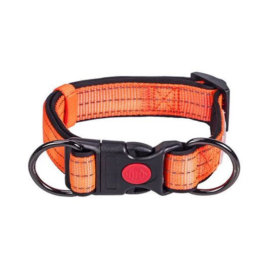 Night glow dog collar