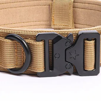 Tan brown dog collar