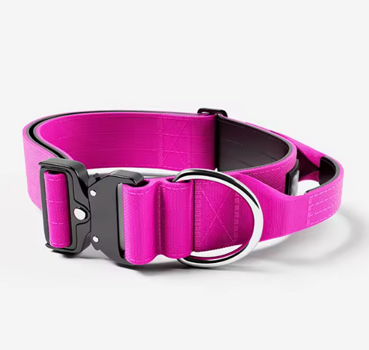 Dark pink dog collar