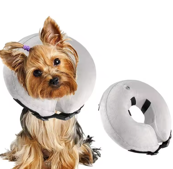 Inflatable vet collar