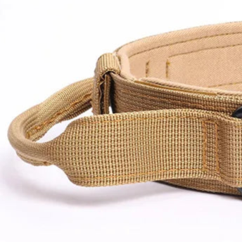 Tan brown dog collar