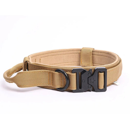 Tan brown dog collar