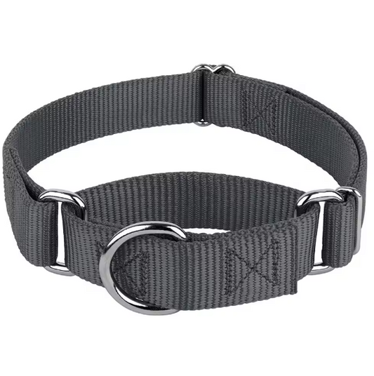 Martingale dog collar for husky