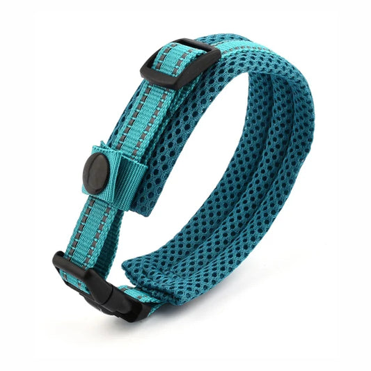 Secure padded dog collar