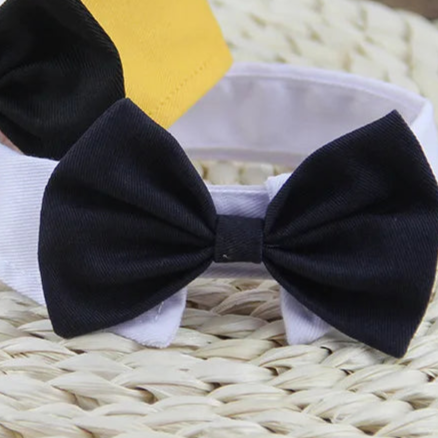 Dog bow tie collar for wedding