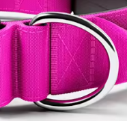 Dark pink dog collar