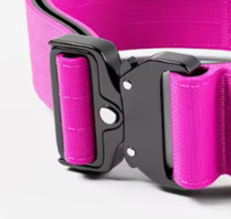 Dark pink dog collar