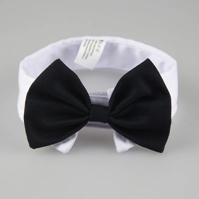 Dog bow tie collar for wedding