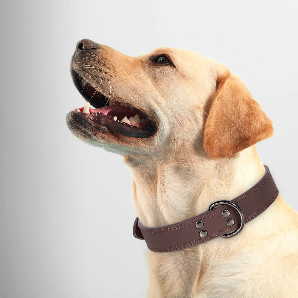 Leather dog collar with clip