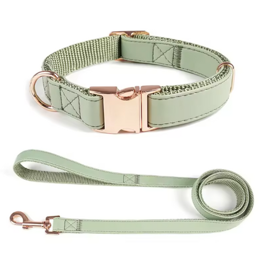 Female dog collar and lead