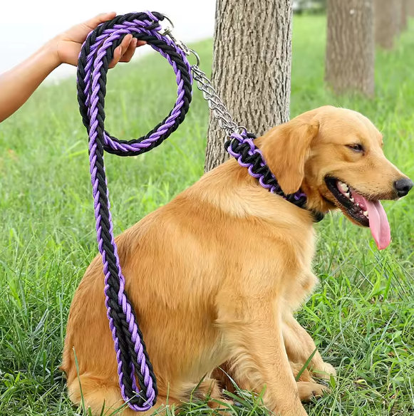 Paracord dog collar and lead