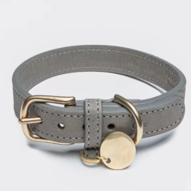 Grey puppy collar