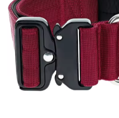 Dog collar with metal quick release