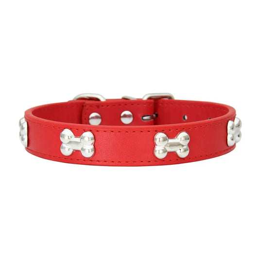 Dog collar for small puppy