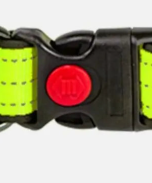 Hi vis dog collar