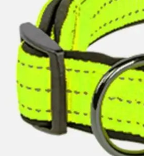 Hi vis dog collar