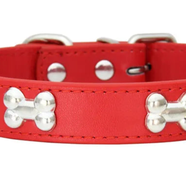 Dog collar for small puppy