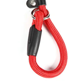 Red rope dog collar