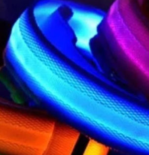 Flashing LED dog collar