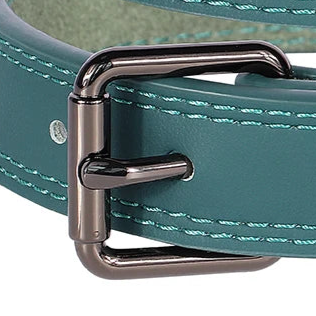 Green leather dog collar