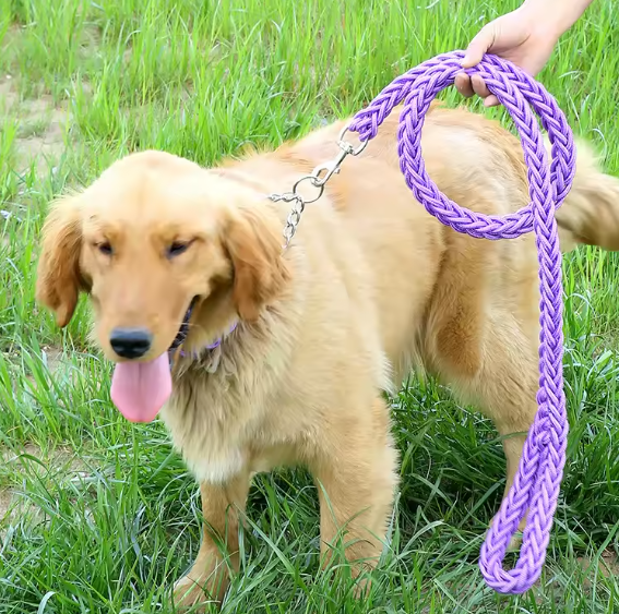 Paracord dog leash and collar