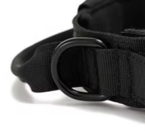 Black padded dog collar