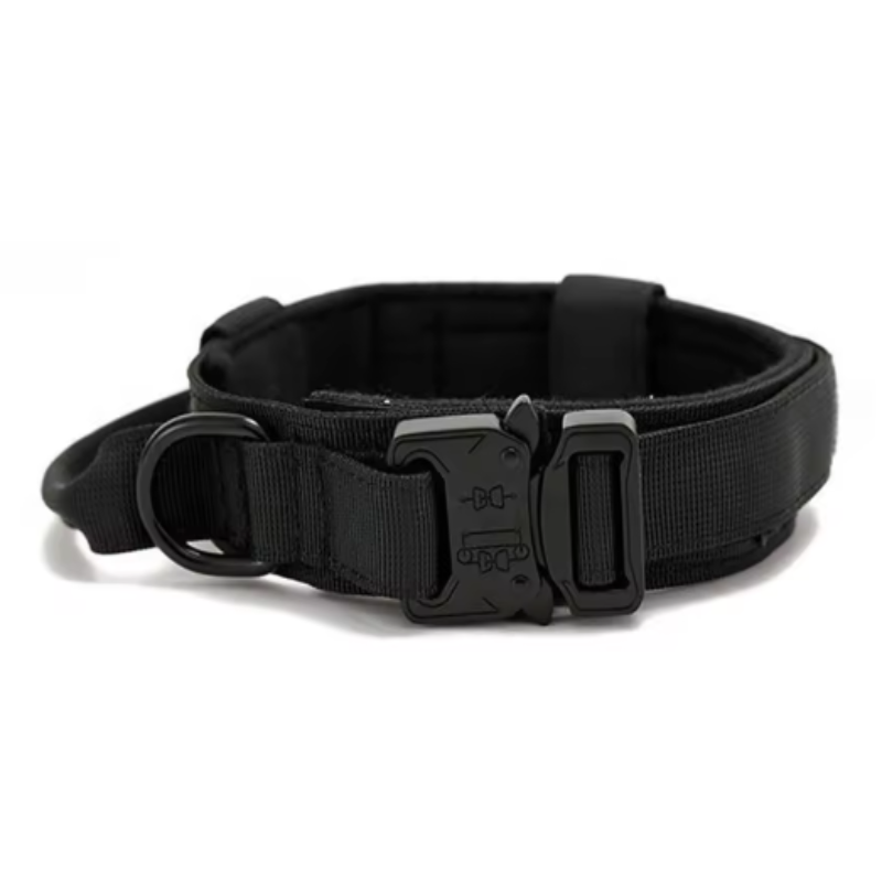 Black padded dog collar