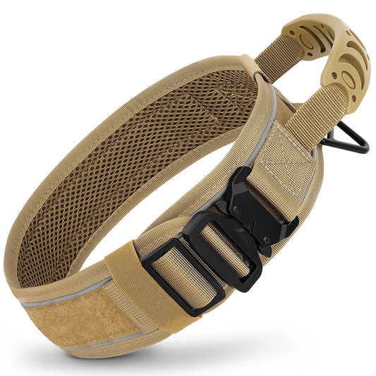 Light brown dog collar