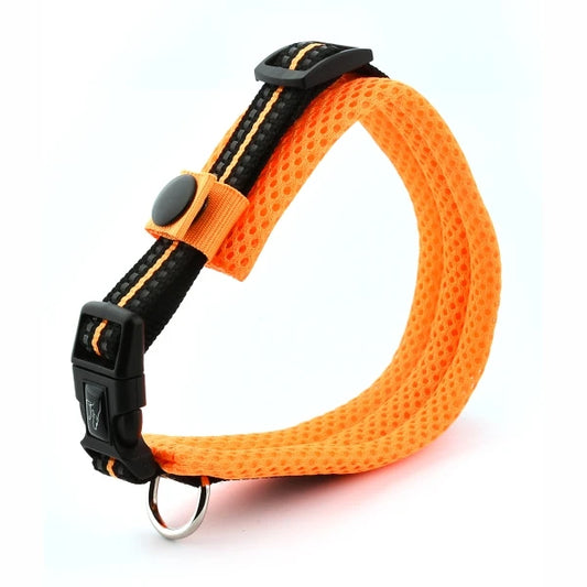 Lightweight dog collar