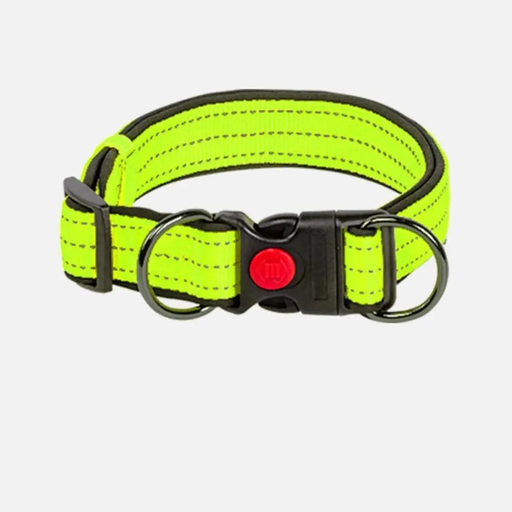 Hi vis dog collar