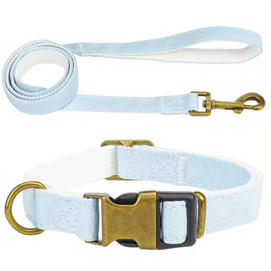 Baby blue dog collar and lead