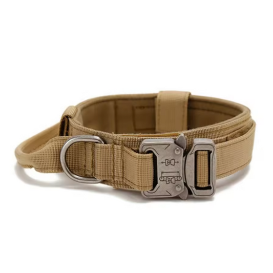 Brown nylon dog collar