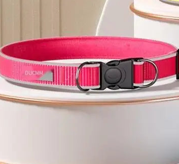 Night time dog collar