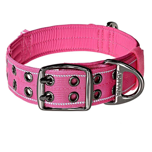 Large pink dog collar