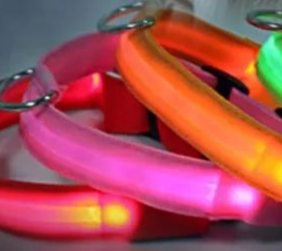 Glow in the dark pet collar