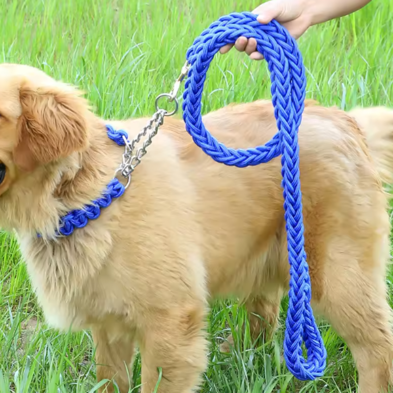 Paracord dog collar and leash