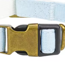 Baby blue dog collar and lead