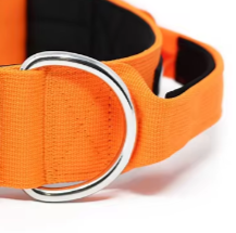 Metal quick release dog collar