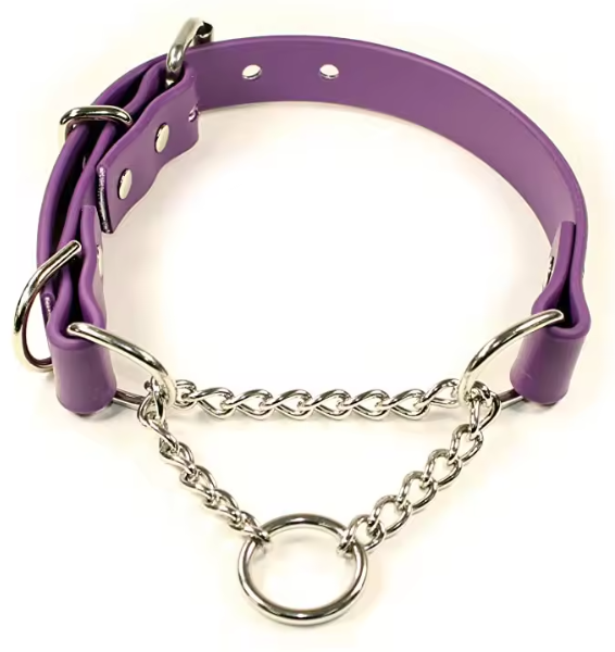 Adjustable half check dog collar