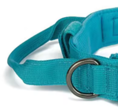 Turquoise dog collar