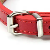 Puppy collar with bell