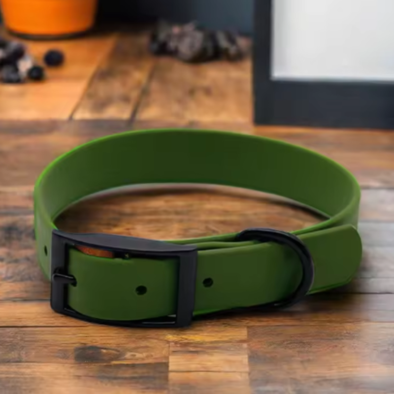 Green biothane dog collar