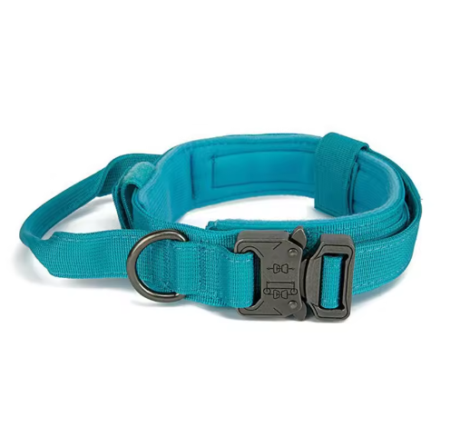 Turquoise dog collar