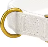 White dog collar and lead